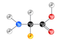 LC-MS/MS Method To Analyze 20 Amino Acids  Amino Acid GettyImages-1289685060