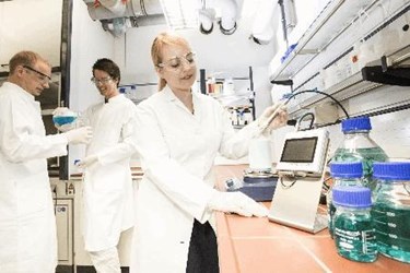 EH_sensaction_1.jpg EH_sensaction_1.jpg