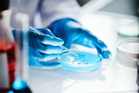 Microbial Rostock Microbial Testing Solutions For Pharma QC