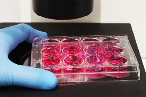 GettyImages-1602744313 assay