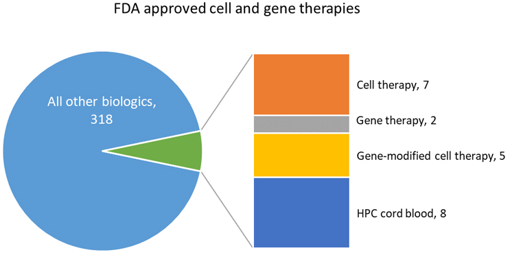  Recent Trends in Biotechnology and Therapeutic