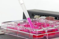 Flow Cytometric Assays For CAR-T Cell Manufacturing And Patient Monitoring GettyImages-1595648709-pipette-laboratory-assay-cell-culture