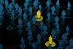 GettyImages-165180340-digital-recruitment-people-patients