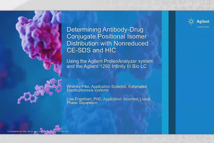 Determining ADCs Positional Isomer Distribution With Nonreduced CE-SDS
