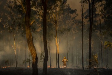 bushfire bushfire
