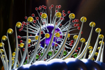 new drugs by genome editing-GettyImages-1407089196
