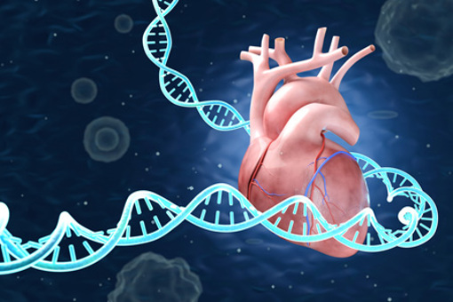 post viral inflammation, genetic response, cardiovascular disease risk-GettyImages-2253693893