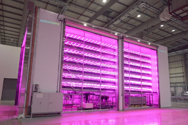 AeroFarms AgX, Grand Opening In Abu Dhabi, UAE: Debut Of The World's ...