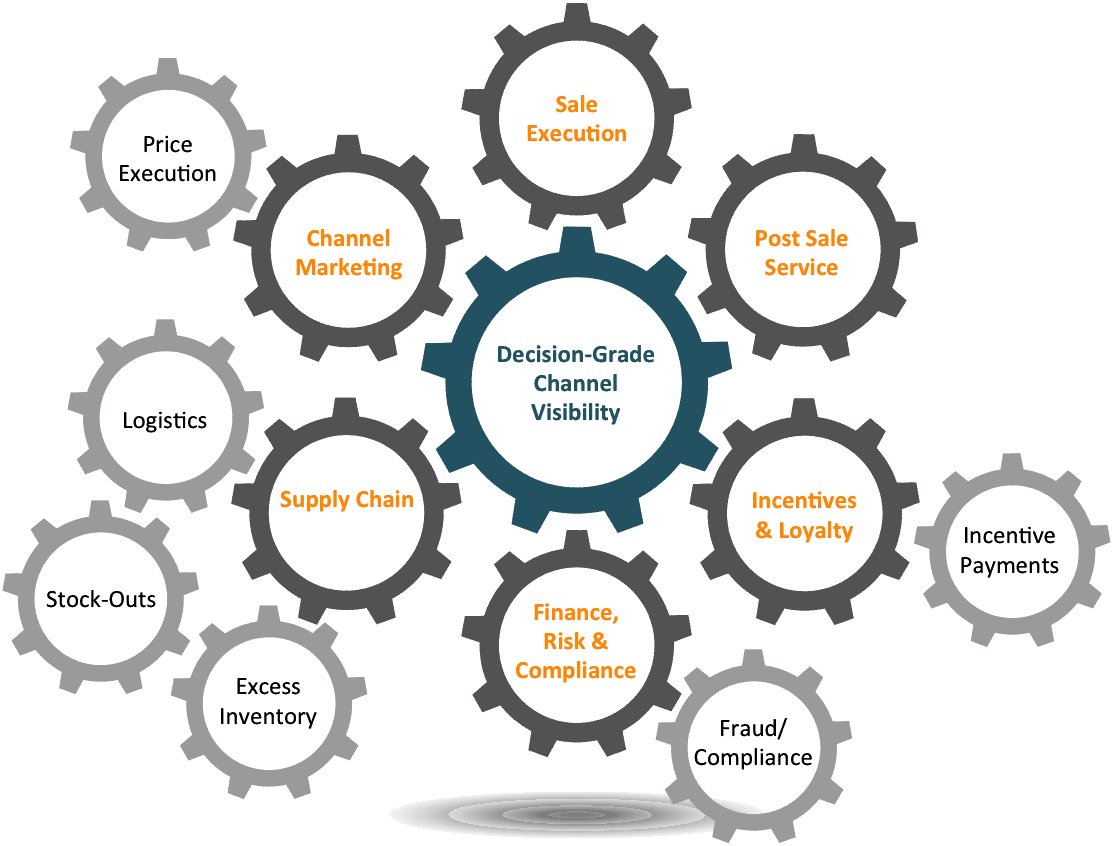 BSM Zyme Solutions Image