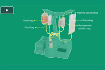 Sefia Select System S-Wash Sefia Application Software