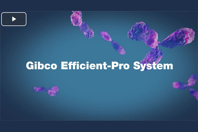 Efficient-Pro Medium And Feed Marketing