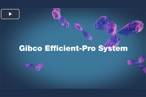 Efficient-Pro Medium And Feed Marketing