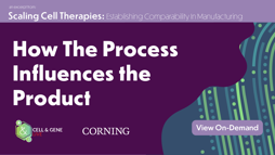 23_02_CGL_SCT2_Webinar_1920x1080_Seg03 23_02_CGL_SCT2_Webinar_1920x1080_Seg03