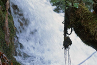 When Your Weekness.jpg