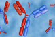 GettyImages-2167502114 bispecific antibodies