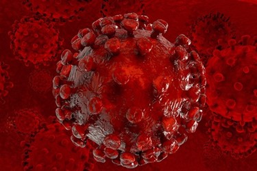 HIV Virus 450x300 HIV Virus 450x300
