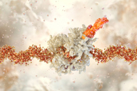 Molecular biology, mRNA strands, genetics-GettyImages-2198118160