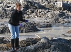 coalash coalash