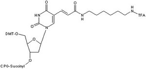 Amino Modifier C6 dT CPG 