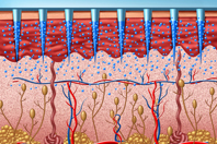Microneedle, transdermal delivery machine-GettyImages-1570131076