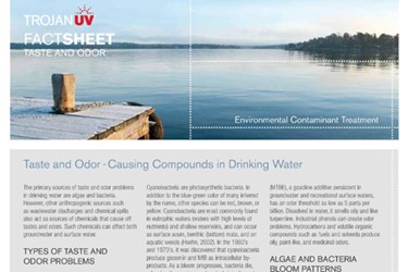 Taste and Odor Compounds in Drinking Water (Fact Sheet)
