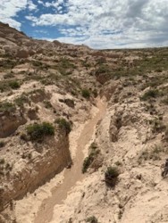 500_ephemeralstream-colorado