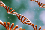 RNA molecule, Epigenetics-GettyImages-1914829121