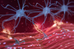 neuroscience, neuromuscular disorders, pain signals, rehabilitation-GettyImages-2280116713