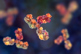 GettyImages-1133973085-antibody-molecule-immunoglobulin GettyImages-1133973085-antibody-molecule-immunoglobulin