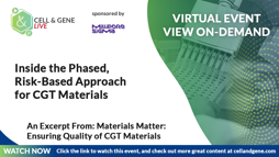 Inside the Phased, Risk-Based Approach for CGT Materials