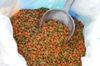 GettyImages-484875410 pet food