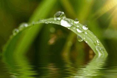 Granular Activated Carbon Products For Treatment Of PFCs In Groundwater Granular Activated Carbon Products For Treatment Of PFCs In Groundwater