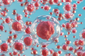 Induced Pluripotent Stem Cells GettyImages-1435534172-mesenchymal-stem-cells