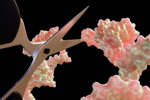 molecular scissors, manipulation of molecular biology, RNA molecule-GettyImages-2213997299