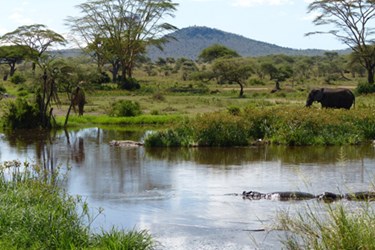 Serengetipond Serengetipond