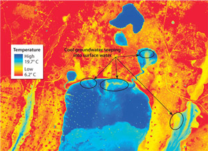 Infrared images shot by airplane in September 2002 reveal the extent of groundwater seeping into Waquoit Bay in Falmouth, Massachusetts. Bright yellows indicate locations where cool groundwater is emerging from the sandy bottom into the salty, warm waters of the bay. (SenSyTech, Inc. and Ann Mulligan, WHOI)