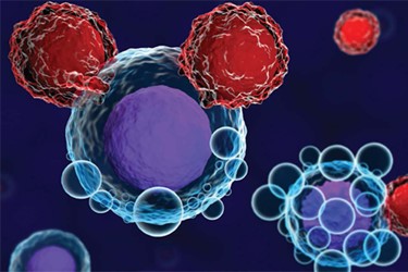 Cellular Therapy Studies: 7 Common Challenges Cellular Therapy Studies: 7 Common Challenges
