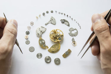Watch-Deconstructed Watch-Deconstructed