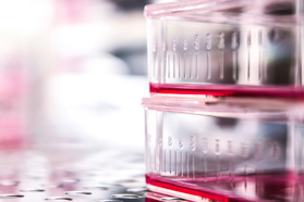 Using An Adherent Platform To Scale-Up An Upstream Viral Vector Process GettyImages-471427556 cell culture