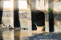 How Green Infrastructure Could Help Sewers Overwhelmed By Climate Change seweroutfall_Getty-1147340054