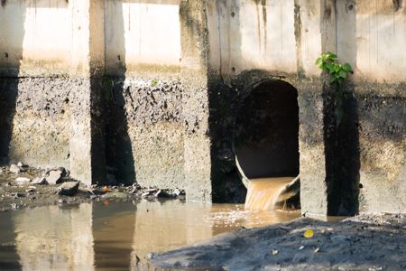 Climate Change Could Overwhelm Our Sewers — Here's How Green Infrastructure Could Help