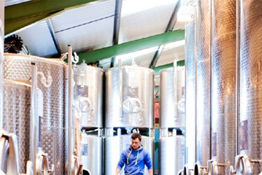 ERP For Food And Beverage Compliance And Traceability ERP For Food And Beverage Compliance And Traceability