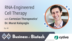 24_01_BoB_1280x720_Ep48