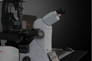 Leica Stellaris bucket