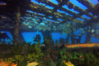 Fishing Boats And Rail Cars: It's What Artificial Reefs Are Made Of iStock-843363612.jpg