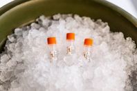 Primrose Bio - Advancing RNA_PRIMA_ProductLineUp-2026-03 (002)