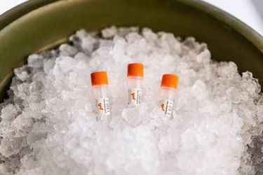 Primrose Bio - Advancing RNA_PRIMA_ProductLineUp-2026-03 (002)