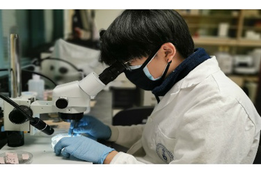 Microplastic-analysis_Shuyao-Tan-crop Microplastic-analysis_Shuyao-Tan-crop