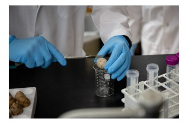 University at Buffalo