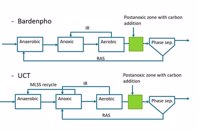 What's In The Black-Box? – Bio-P In TDG MicrosoftTeams-image-18-bucket